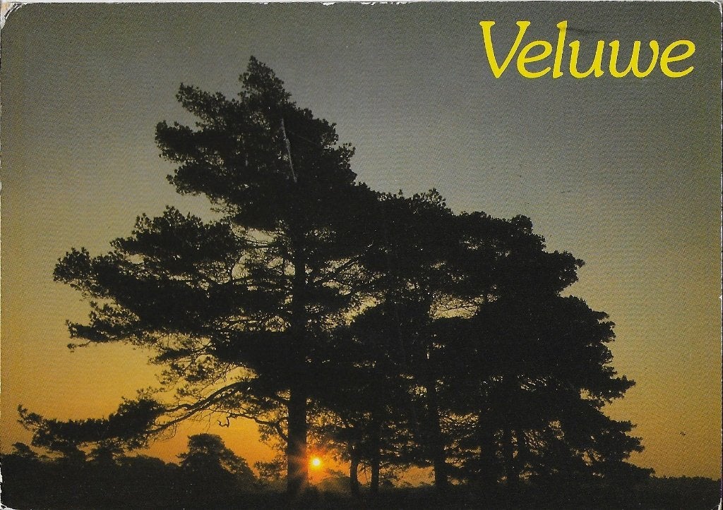 Q37 gelopen ansichtkaart veluwe, Ophalen of Verzenden, 1980 tot heden, Gelopen, Gelderland