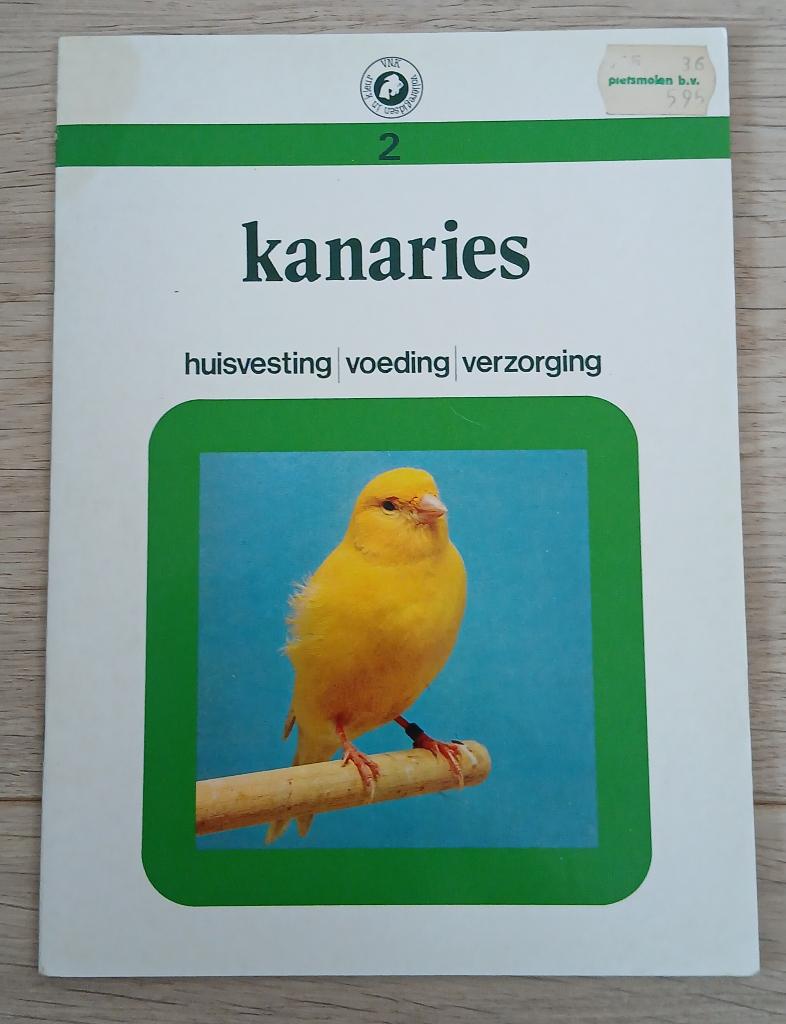 2 Kanaries, Ophalen of Verzenden, Gelezen, Vogels