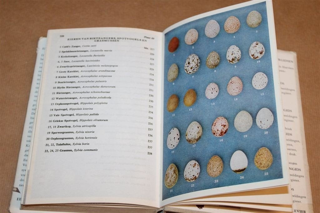 Peterson Vogelgids — Vintage Vogelboek Europa 1969, Boeken, Ophalen of Verzenden, Gelezen, Paarden of Pony's
