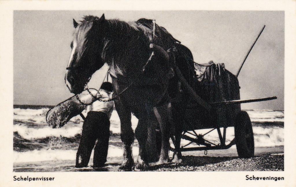 08218 Scheveningen - Schelpenvisser, Verzenden, 1940 tot 1960, Ongelopen, Zuid-Holland