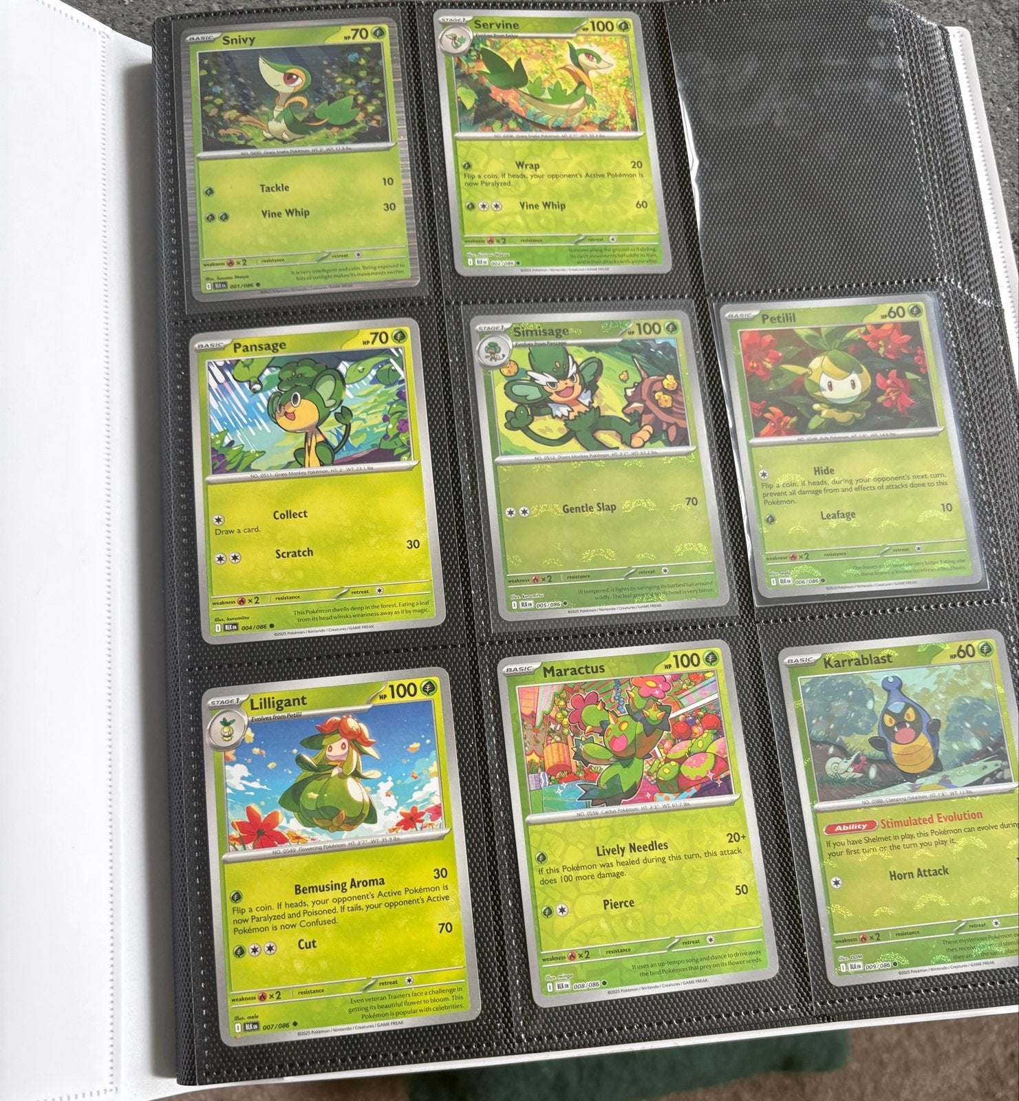 Black Bolt Binder met Pokémon Kaarten: EX, Promo, VMAX & V, Ophalen of Verzenden, Nieuw, Meerdere kaarten