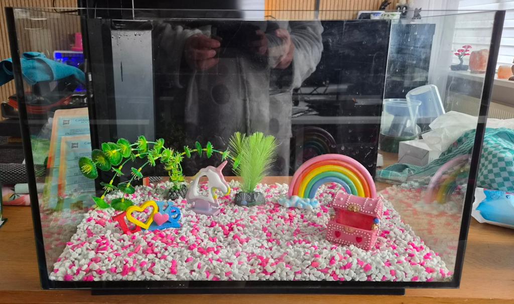 Mooi aquarium, Dieren en Toebehoren, Vissen | Aquaria en Toebehoren, Ophalen of Verzenden, Zo goed als nieuw, Leeg aquarium