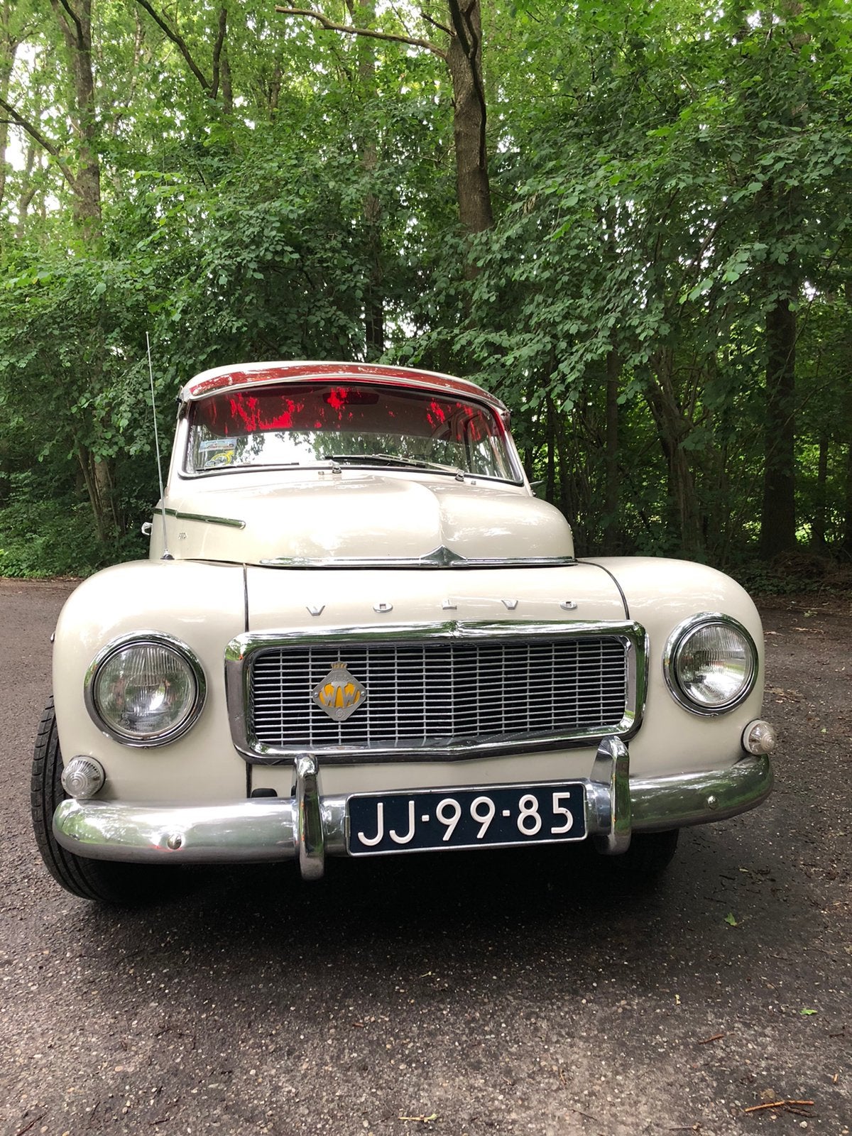 Volvo Pv544 1.8 C 1964 Wit, foto 3