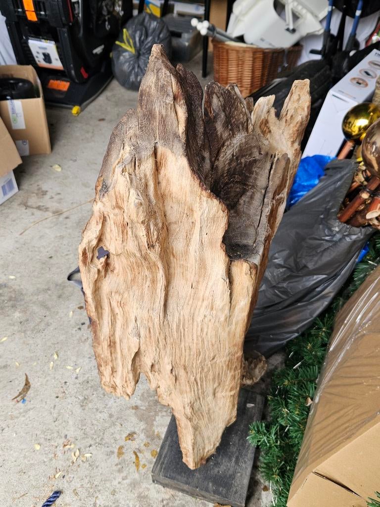Uniek Houten Sculptuur - Abstracte Kunst van Drijfhout, Beeld, Bruin, Handgemaakt, Abstract