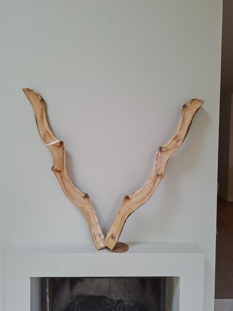 Mooi houten gewei gemaakt door Geweldig gewei Amsterdam, Ophalen of Verzenden