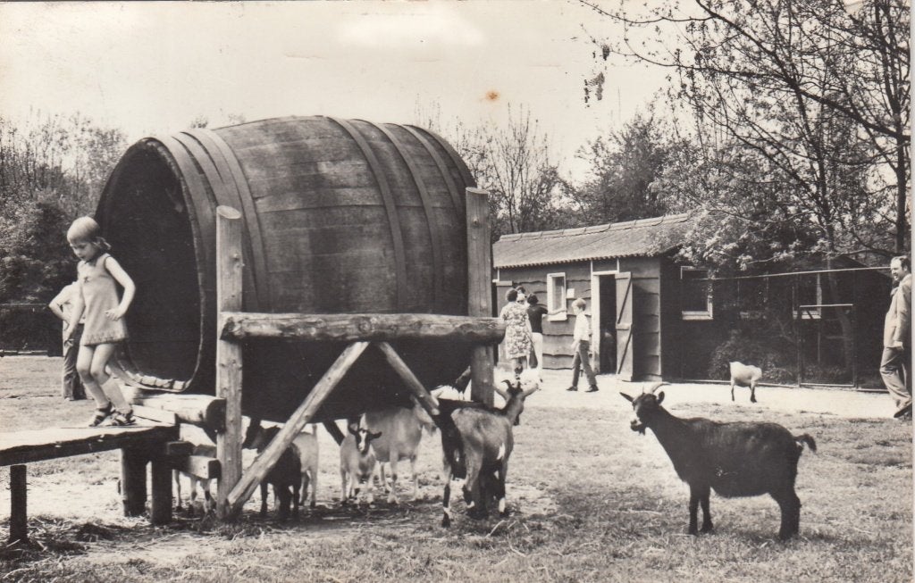 Leek (Gr.) - Kinderboerderij, Verzenden, 1940 tot 1960, Gelopen, Groningen
