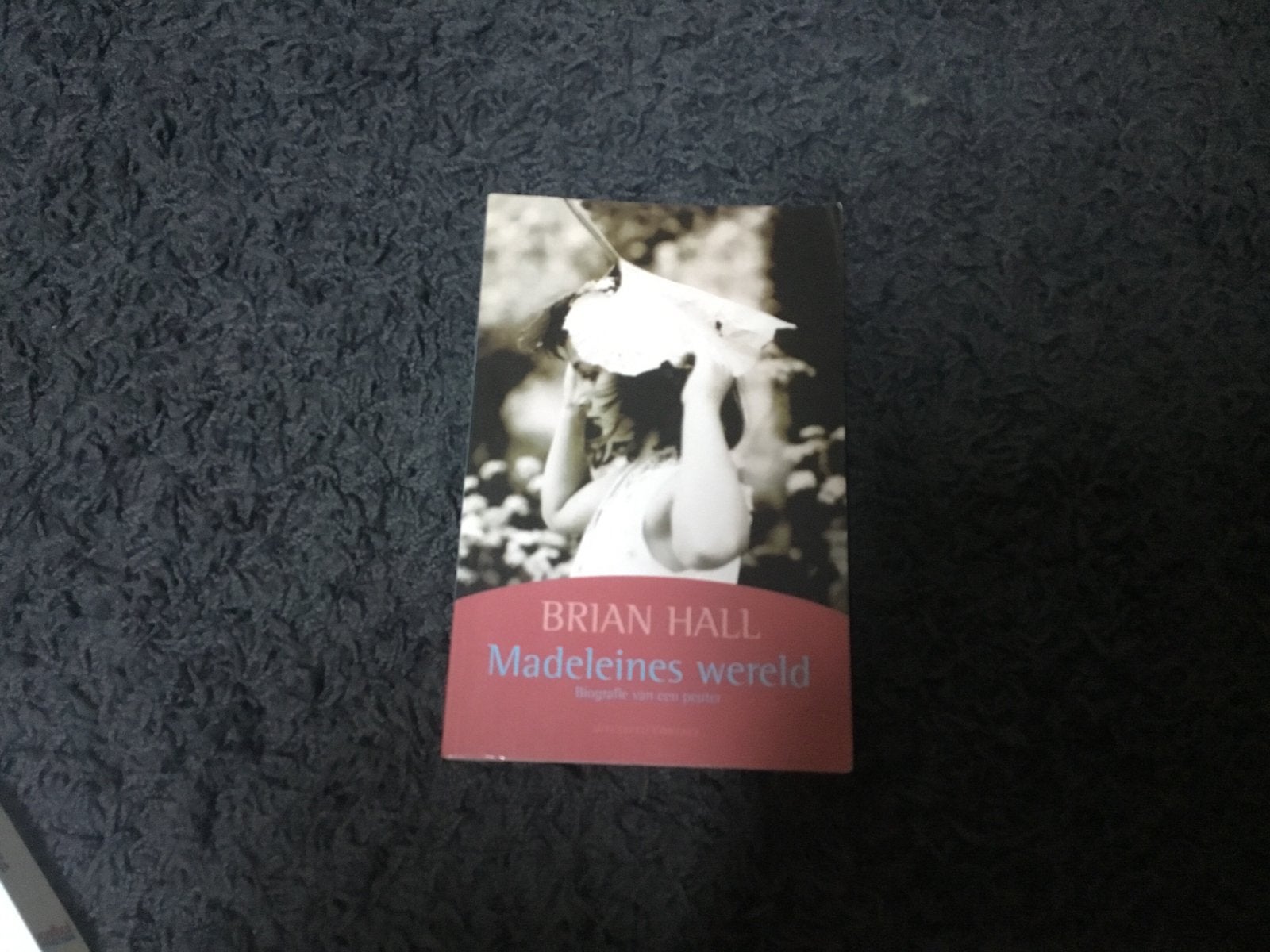 Madeleines wereld - Brian Hall, Ophalen of Verzenden, Gelezen