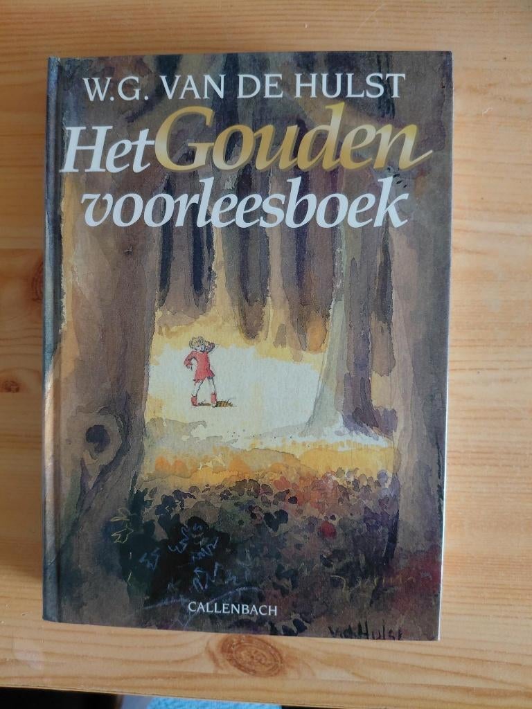 W.G. van de Hulst Het Gouden voorleesboek, Ophalen of Verzenden, Zo goed als nieuw, W.G. van de Hulst, Fictie algemeen