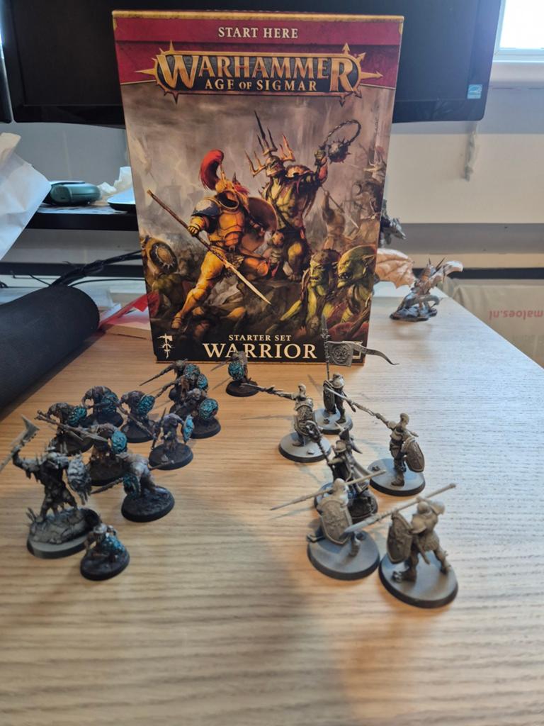 Warhammer Age of Sigmar Warrior Starter Set, Figuurtje(s), Warhammer, Ophalen of Verzenden, Zo goed als nieuw