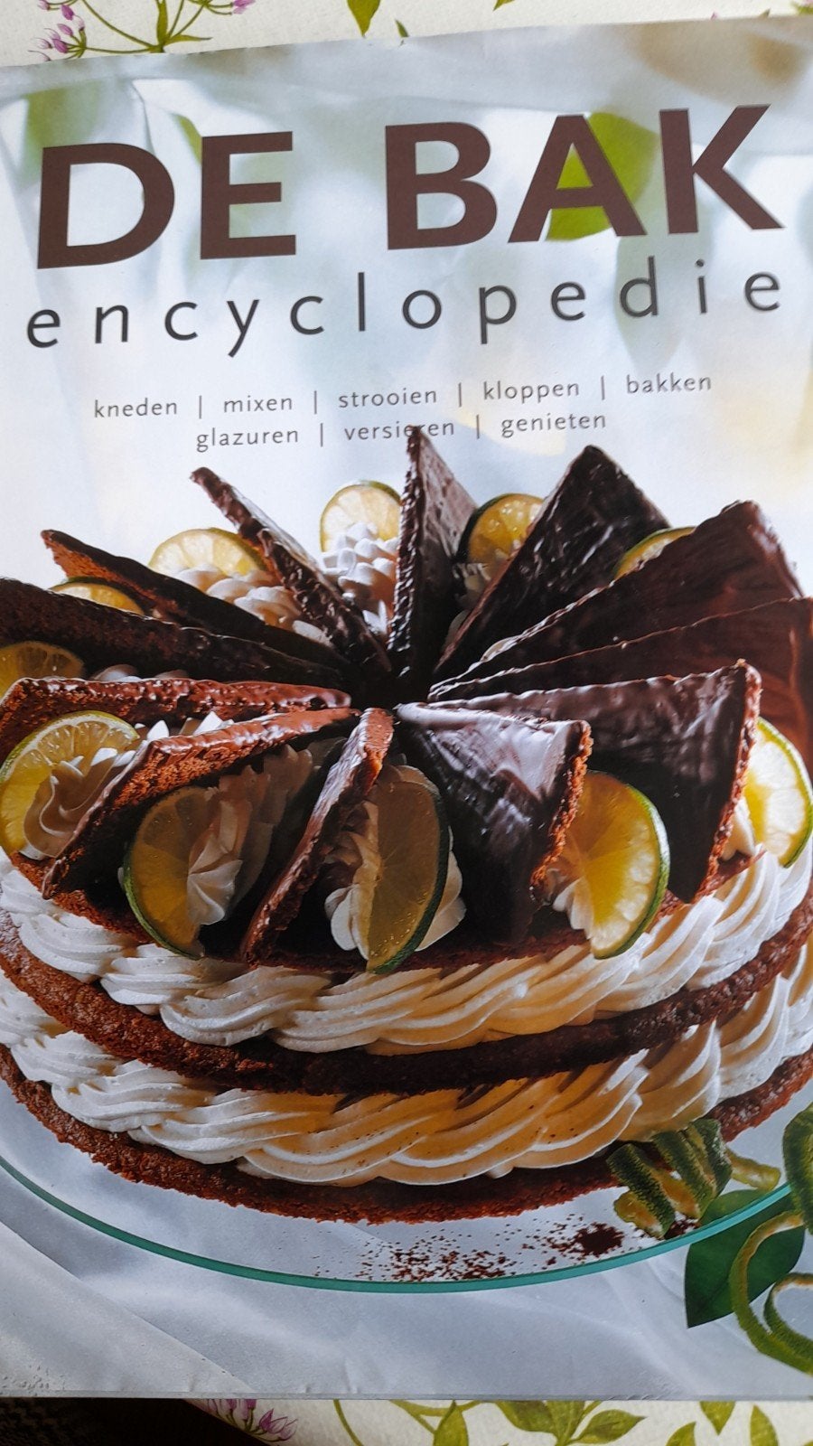 De Bak encyclopedie, Boeken, Ophalen of Verzenden, Zo goed als nieuw, Nederland en België