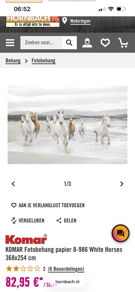 Nieuw Fotobehang Witte Paarden 368x254 cm, Ophalen, Wit
