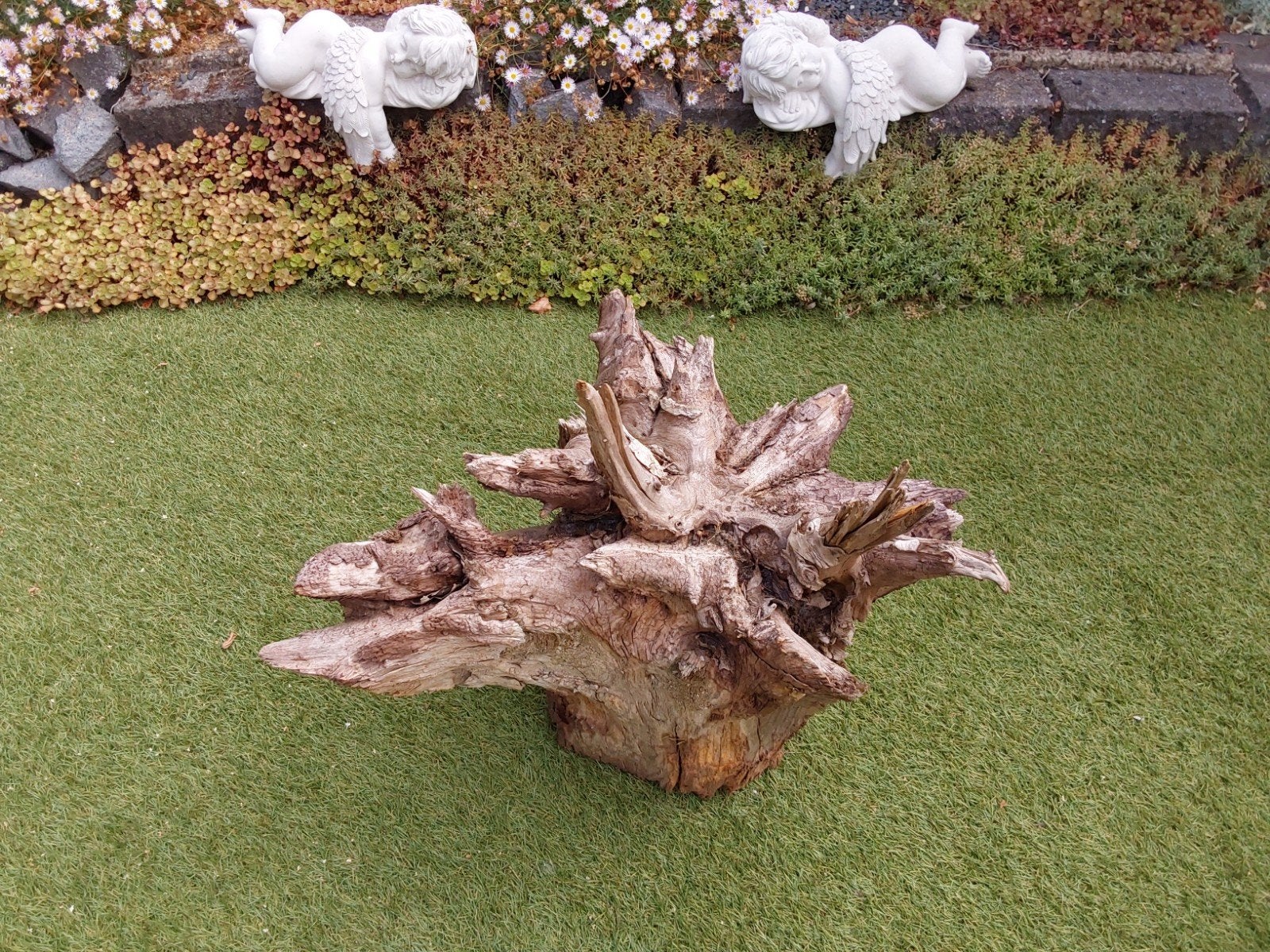 Oude  boomstronk decoratie, Ophalen, Gebruikt