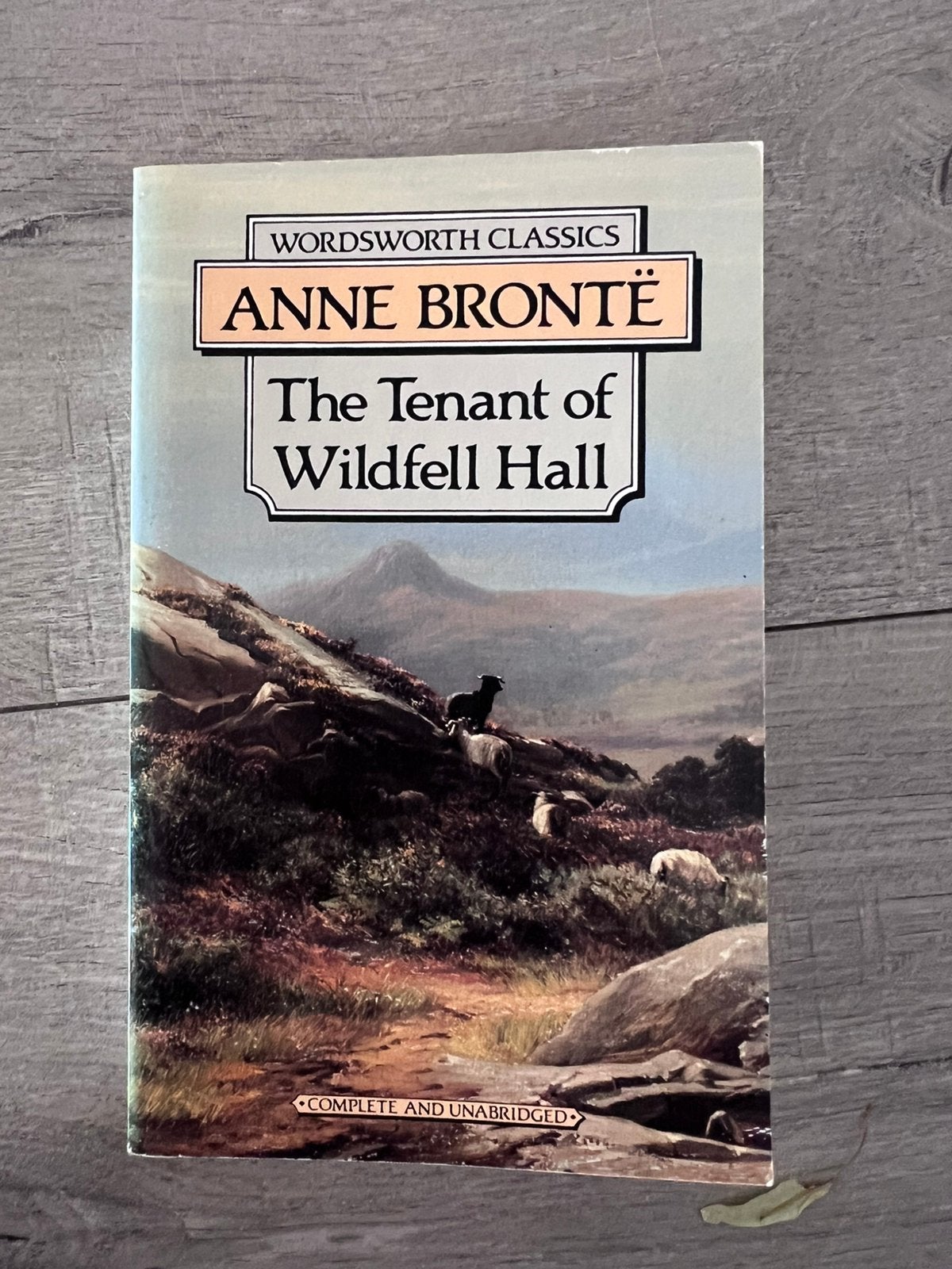 Anne Brontë The Tenant of Wildfell Hall paperback, Ophalen of Verzenden, Gelezen, Europa