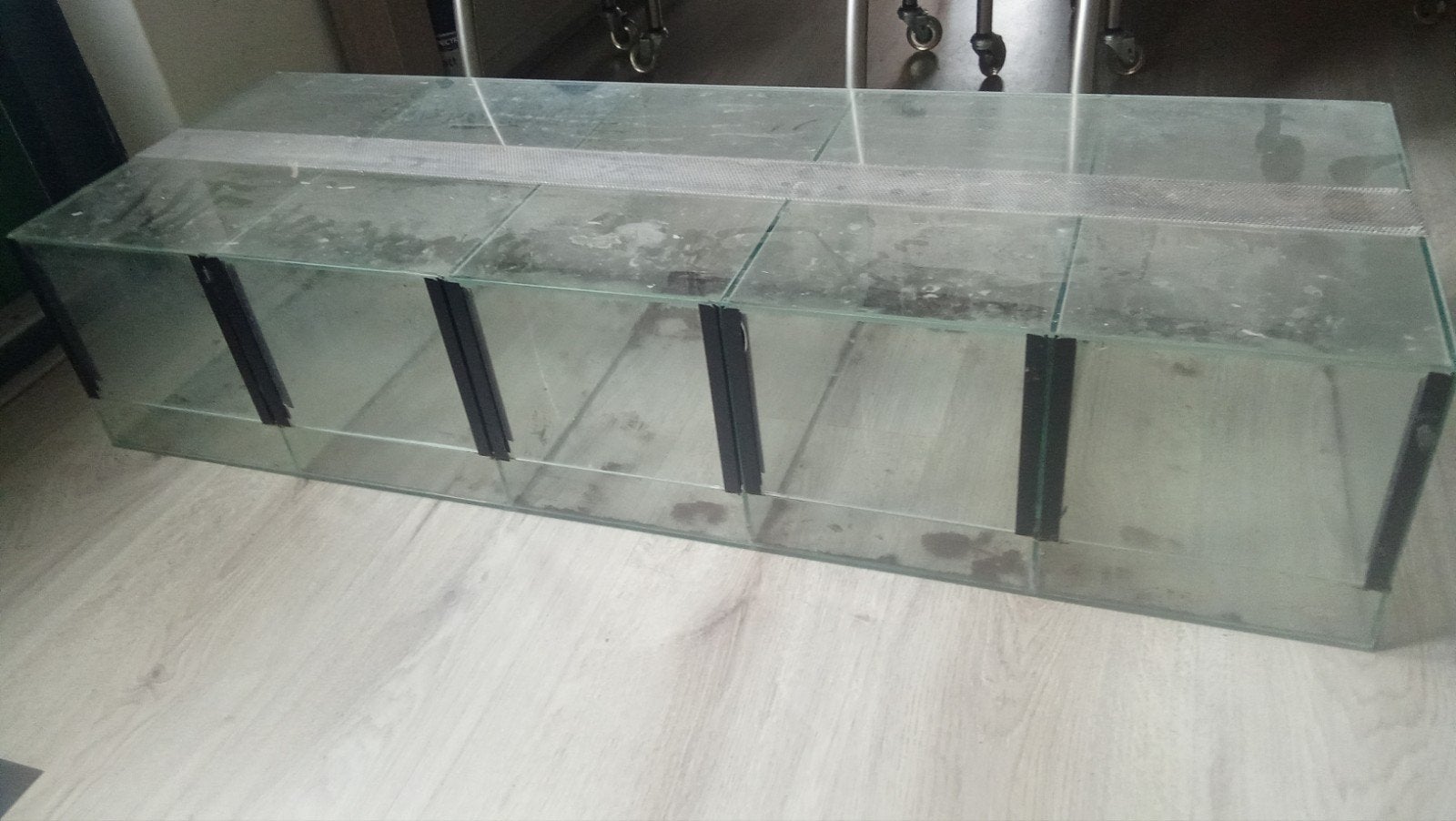5 in 1 terrarium, Ophalen