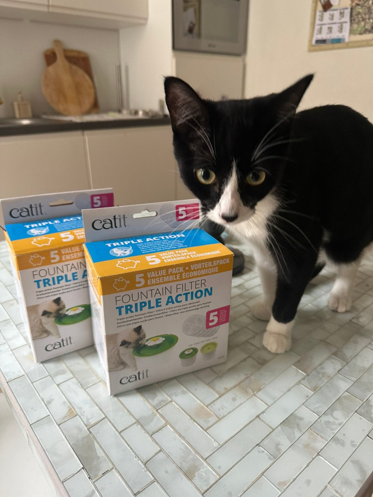 Cat waterfountain filters (6), Ophalen, Nieuw