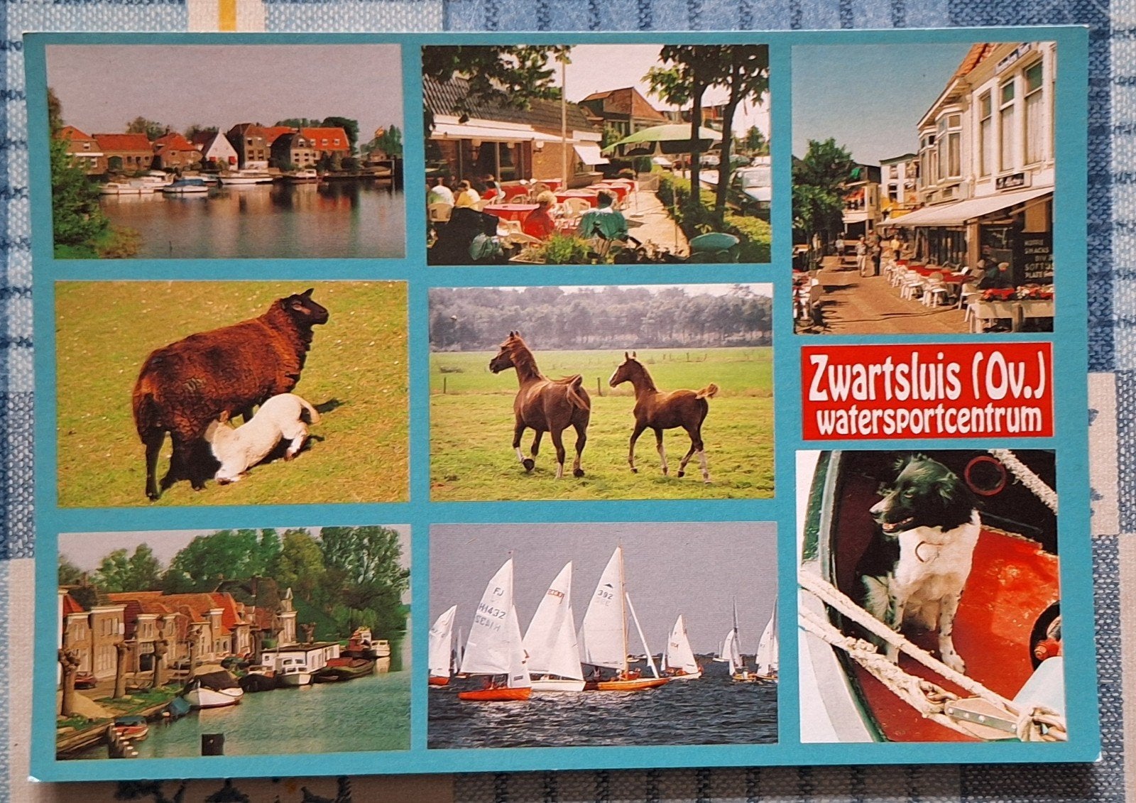 Zwartsluis (Ov.) watersportcentrum - Ansichtkaart, Verzamelen, Ophalen of Verzenden, 1980 tot heden, Ongelopen, Overijssel