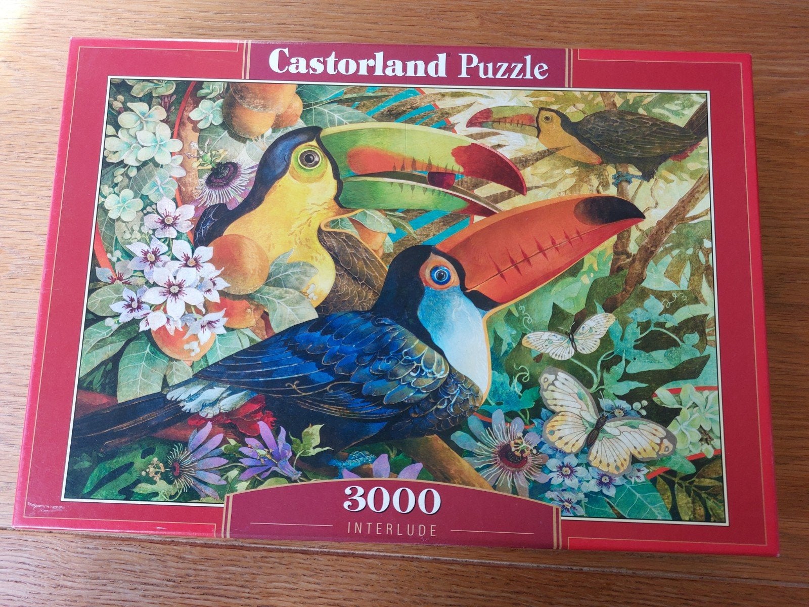 Castorland Legpuzzel 3000 stukjes Interlude, Ophalen of Verzenden, Meer dan 1500 stukjes, Zo goed als nieuw, Legpuzzel