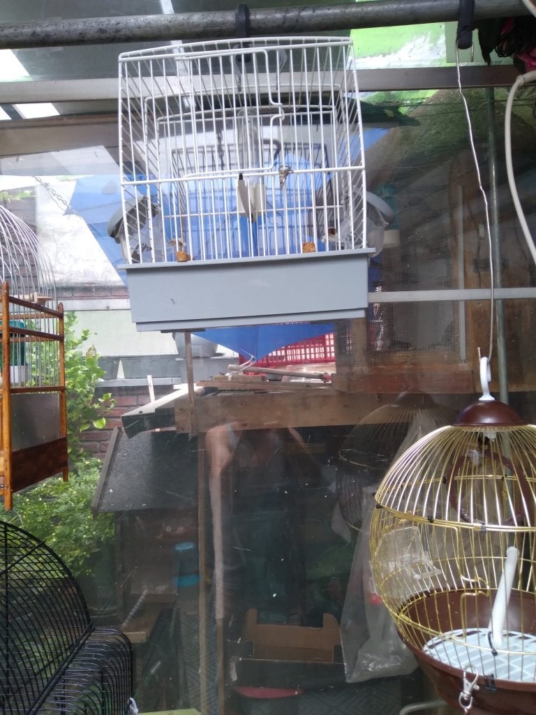 Drie lossen vogel kooitjes / los te koop12 euro per stuk, Ophalen, Gebruikt, Kunststof, Vogelkooi