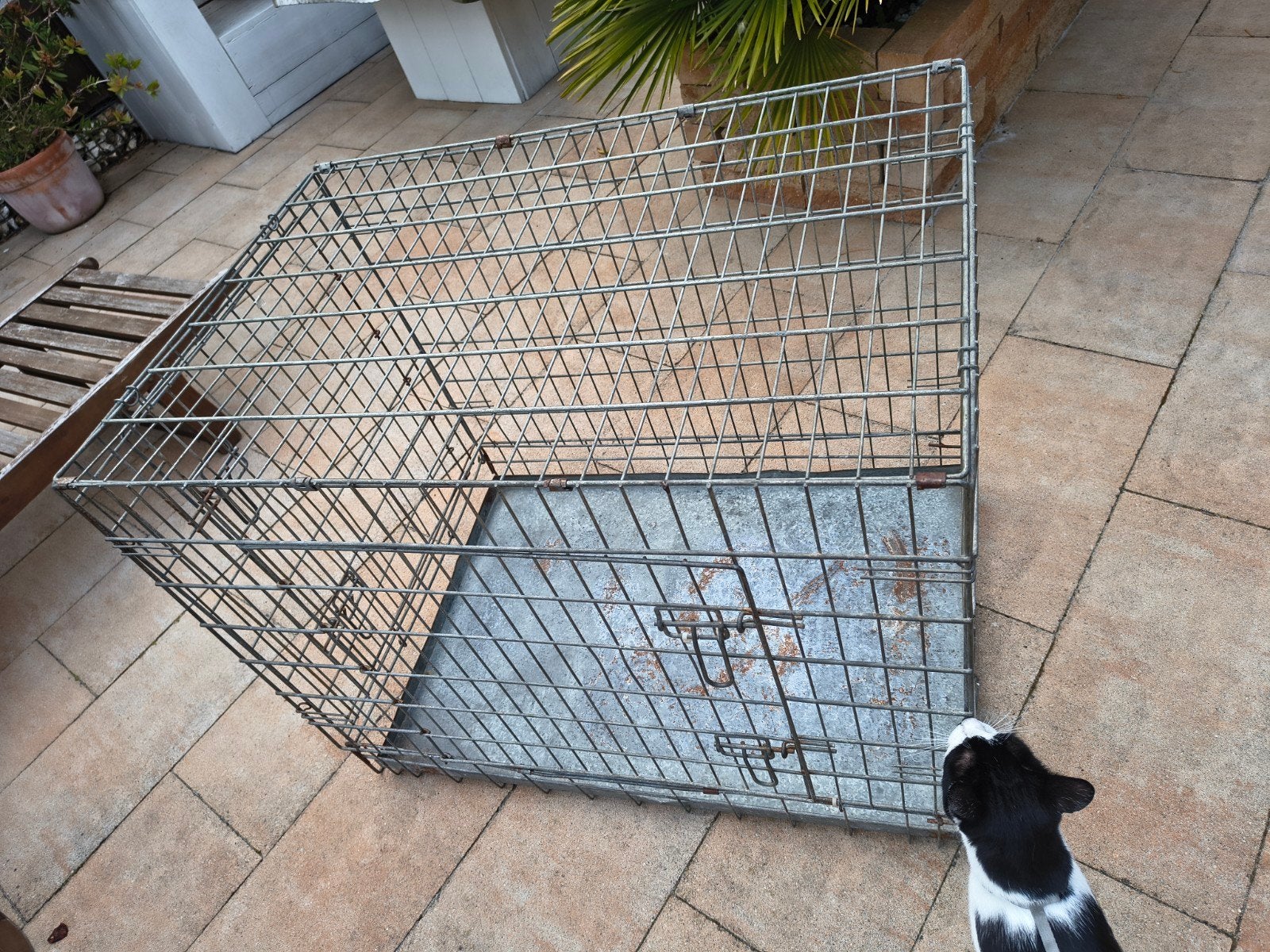 bench voor kat of hond, Ophalen, Gebruikt, 75 tot 110 cm, 65 tot 100 cm