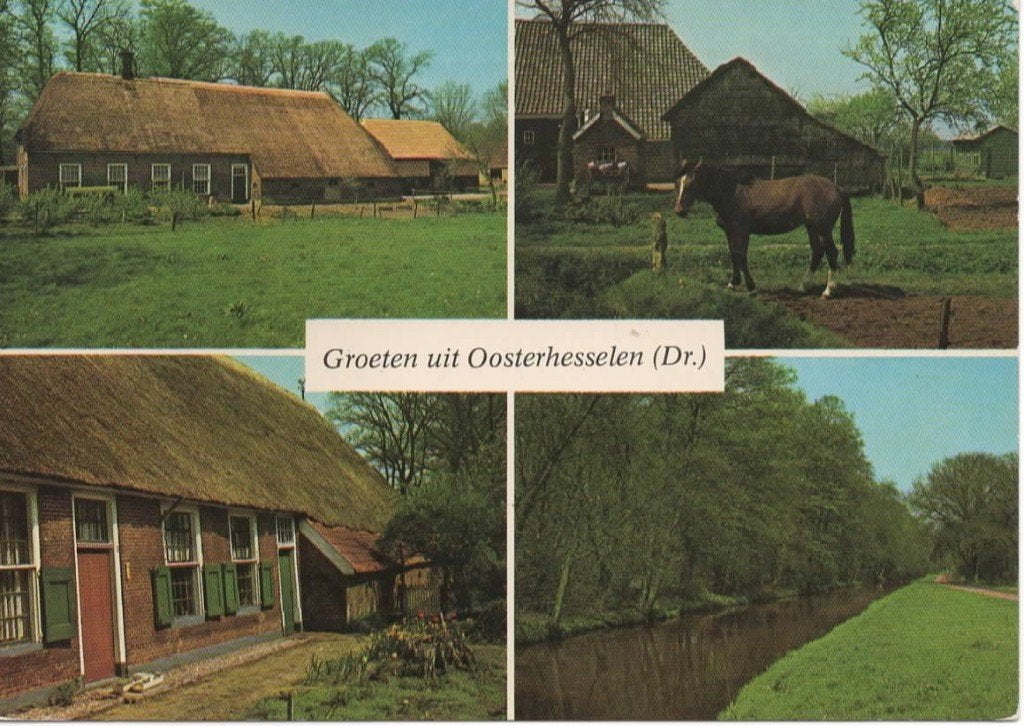Ansichtkaart Oosterhesselen, 4-luik, boerderij, paard, Ophalen of Verzenden, 1960 tot 1980, Gelopen, Drenthe