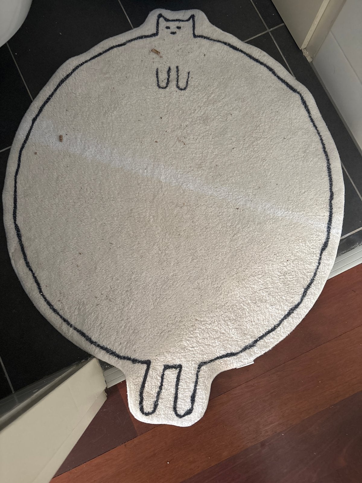 Leuk kattenkleed / vloerkleed, Ophalen, Gebruikt, 50 tot 100 cm, Crème