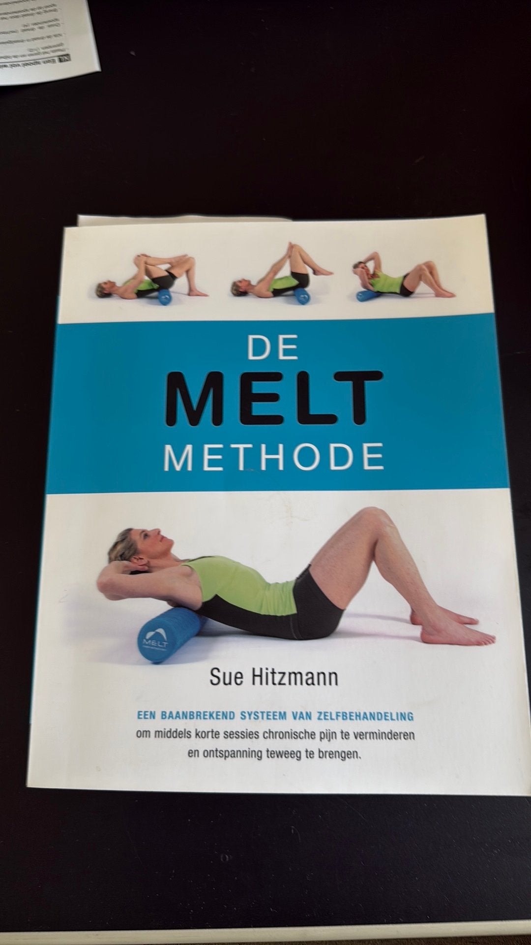 Sue Hitzmann - De melt methode, Ophalen of Verzenden, Zo goed als nieuw, Sue Hitzmann