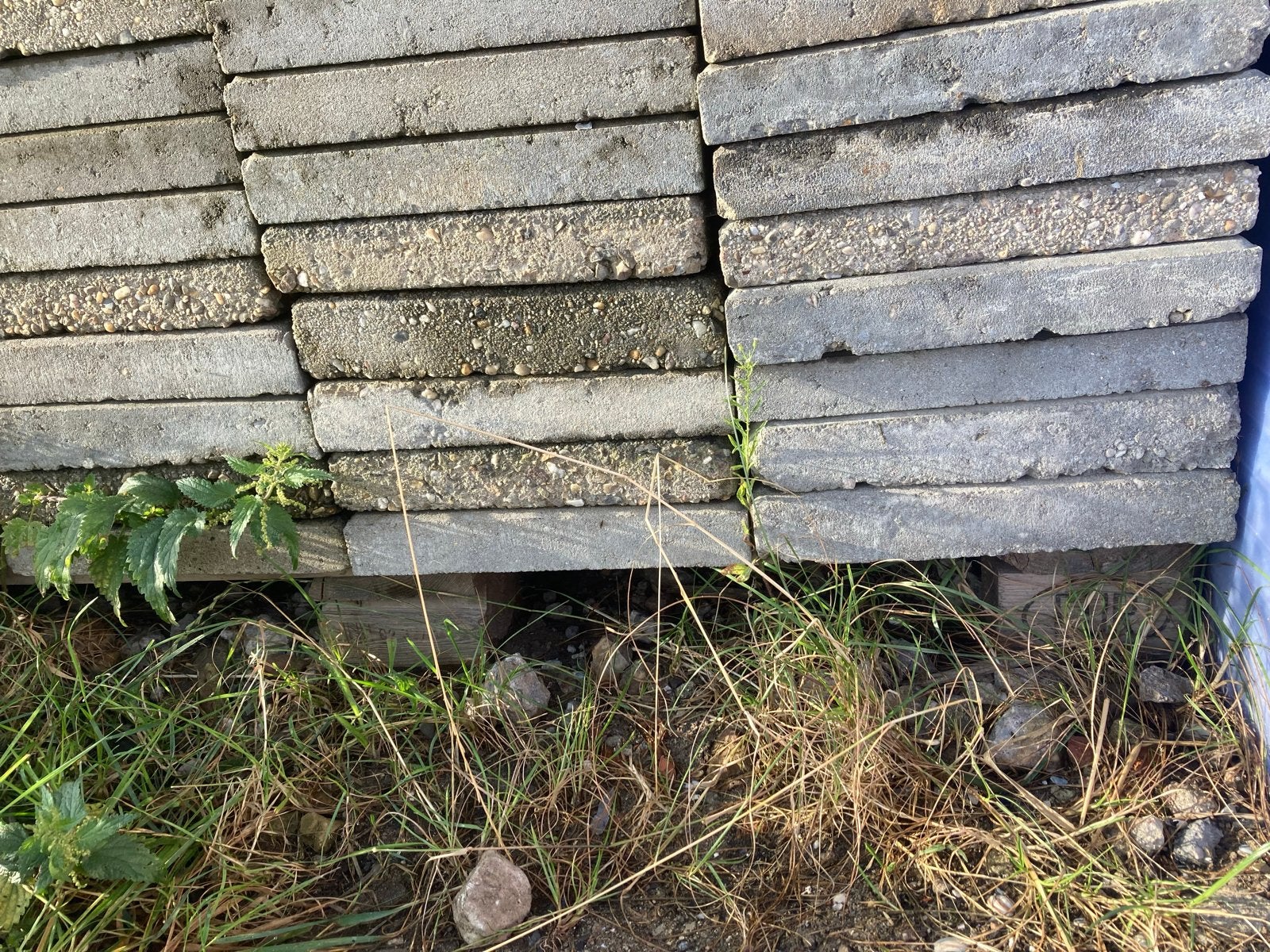 Gratis tegels (ca. 400 stuks) op 2 pallets, Doe-het-zelf en Verbouw, Tegels, Ophalen, Overige materialen, Gebruikt, 60 cm of meer