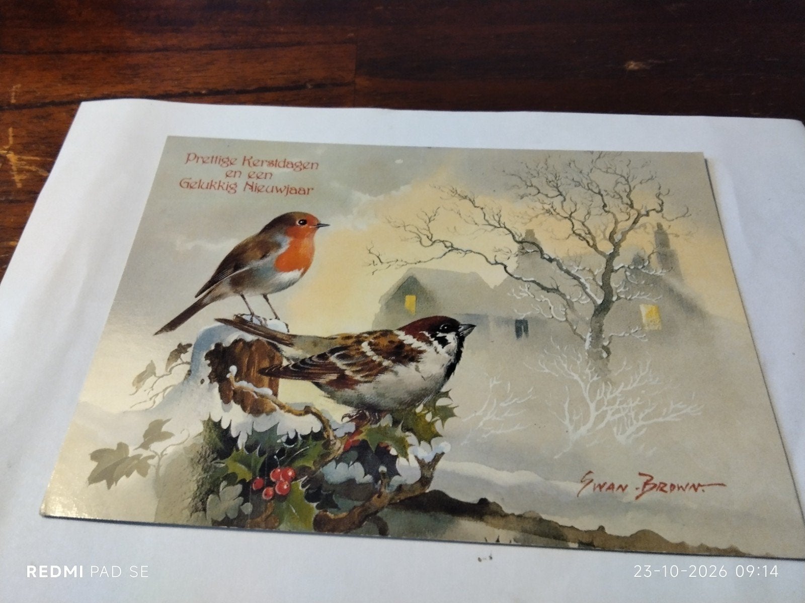 Vintage Kerstkaart Roodborst en Mus - Swan Brown, Ophalen of Verzenden, 1980 tot heden, Gelopen, Vogel