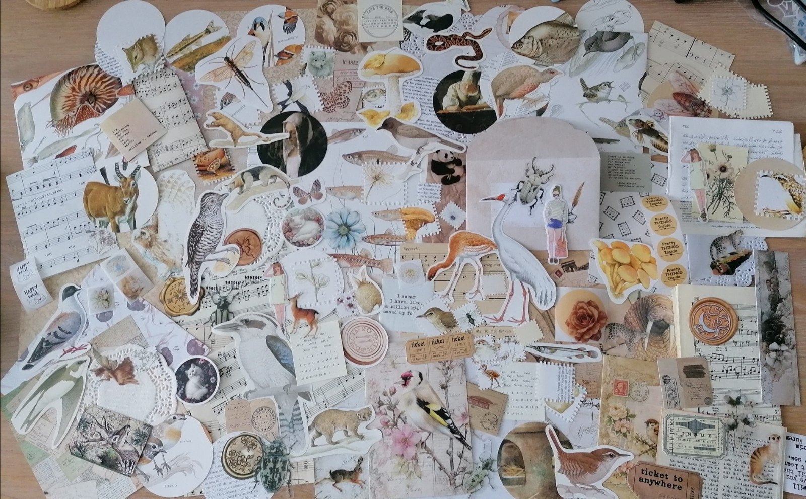 Mega ephemera set naturel snailmail journal scrapbook, Ophalen of Verzenden, Plaatje