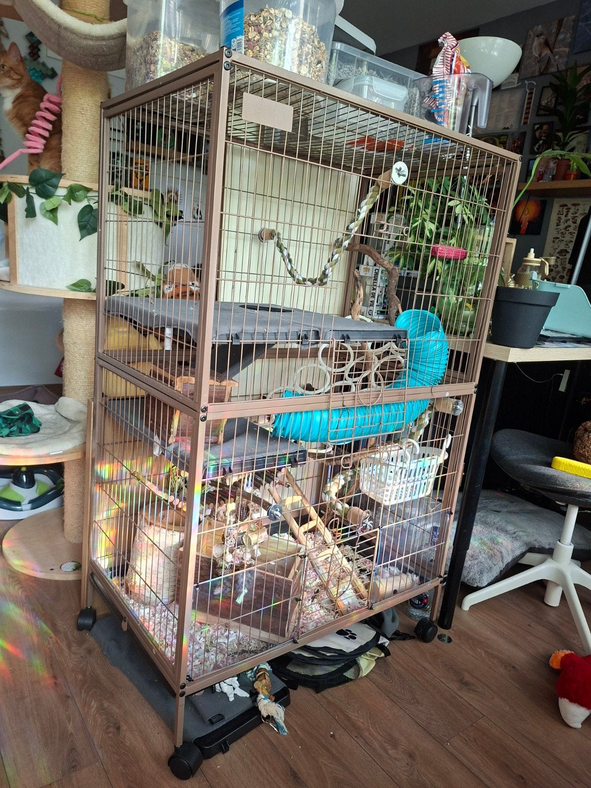 TIAKI kooi voor kleine dieren Critter Empire, Dieren en Toebehoren, Ophalen, Kooi, 60 tot 90 cm, Nieuw
