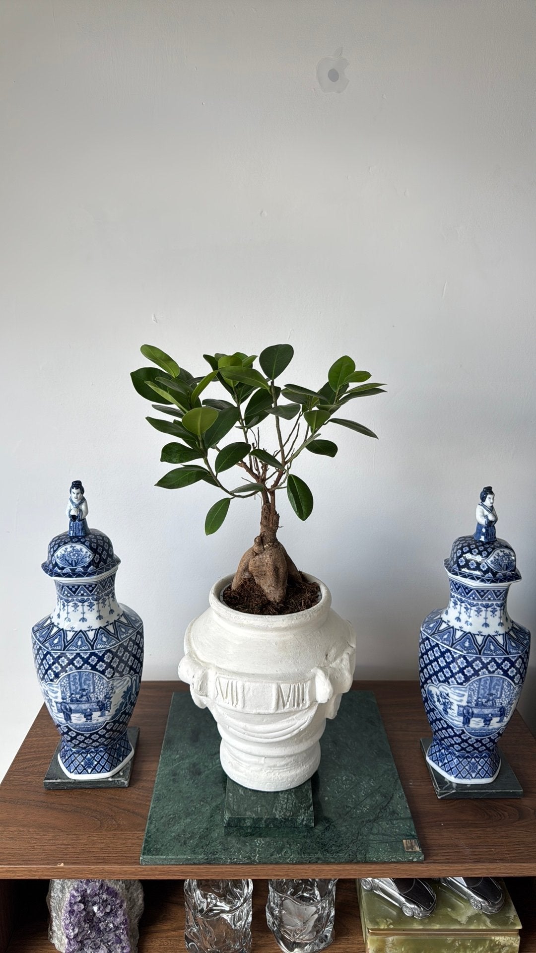 Mooie klassiek terracotta sierpot, Huis en Inrichting, Ficus, In pot, Minder dan 100 cm, Groene kamerplant