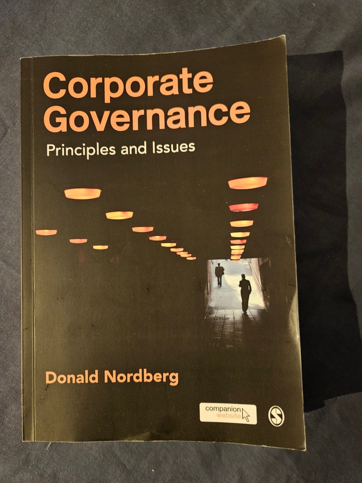 Corporate Governance: Principles and Issues, Donald Nordberg, Ophalen of Verzenden, Gamma, WO