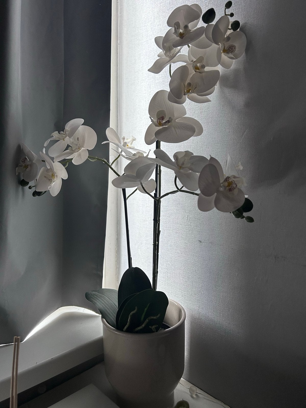 Witte kunstorchidee + pot - Elegant en onderhoudsvrij, Ophalen, Binnen, Kunstplant, Kunststof