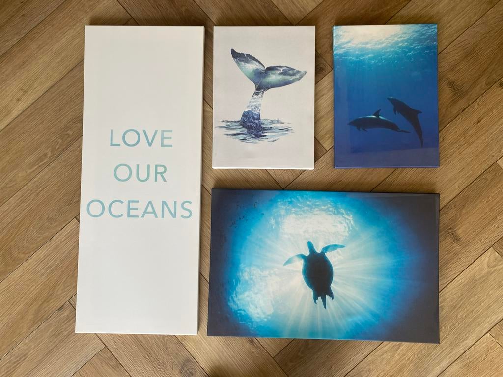 Vier IKEA canvasdoeken met oceaanthema, Ophalen, Minder dan 50 cm, Gebruikt, Print