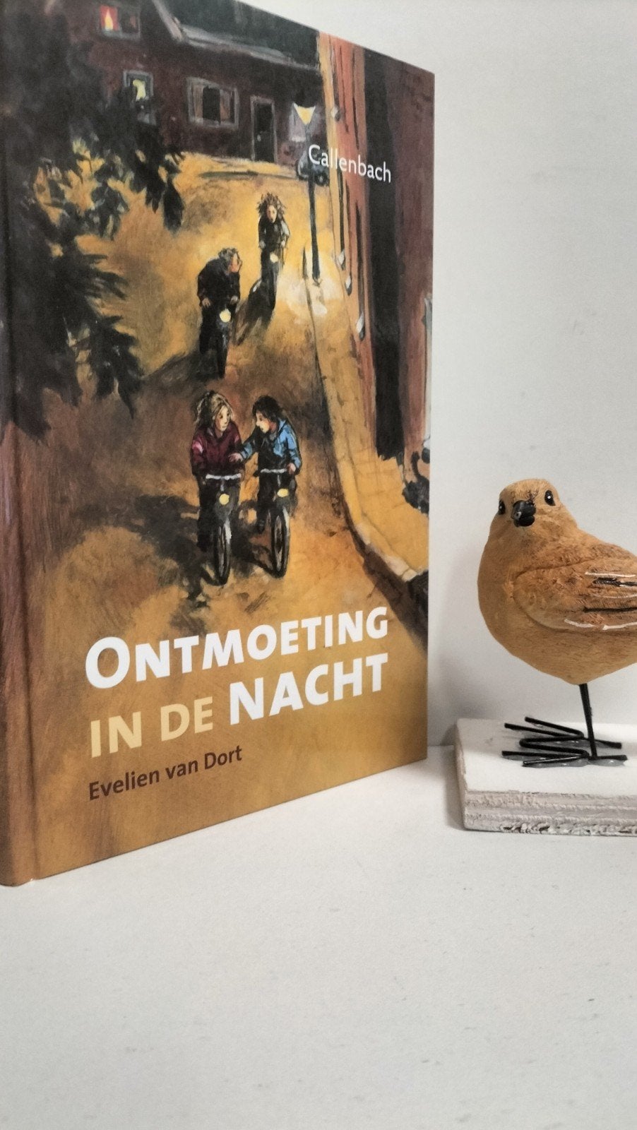 Dort, Evelien van; Ontmoeting in de nacht, Ophalen of Verzenden, Gelezen