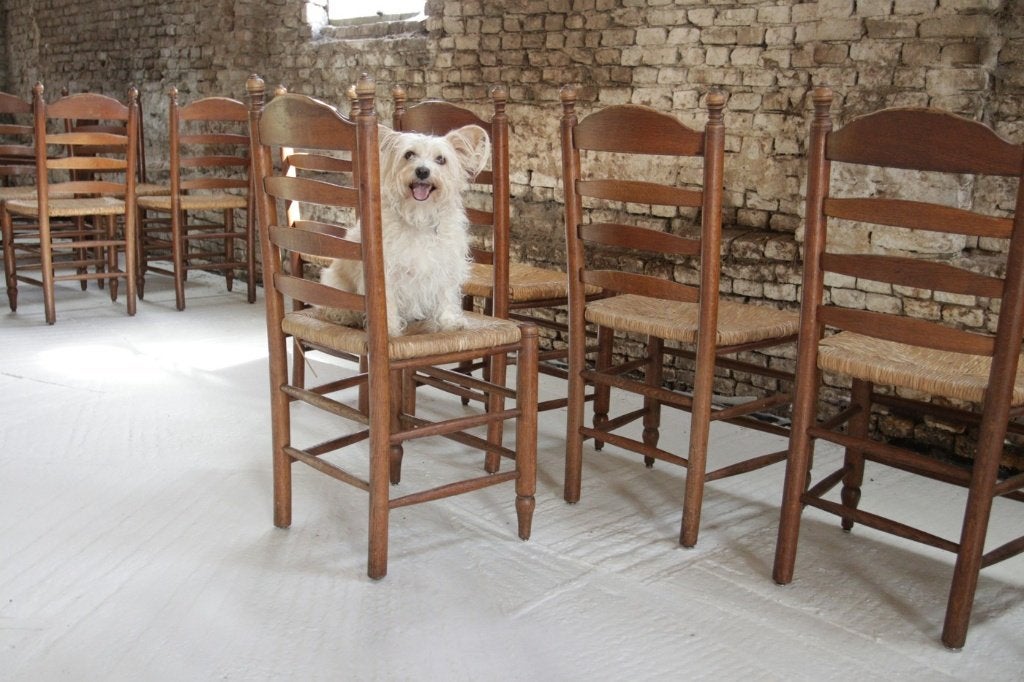 Oude Hollandse eiken ladderback stoelen biezen (2, 4 of 6), Huis en Inrichting, Ophalen, Gebruikt, Bruin, Vijf, Zes of meer stoelen