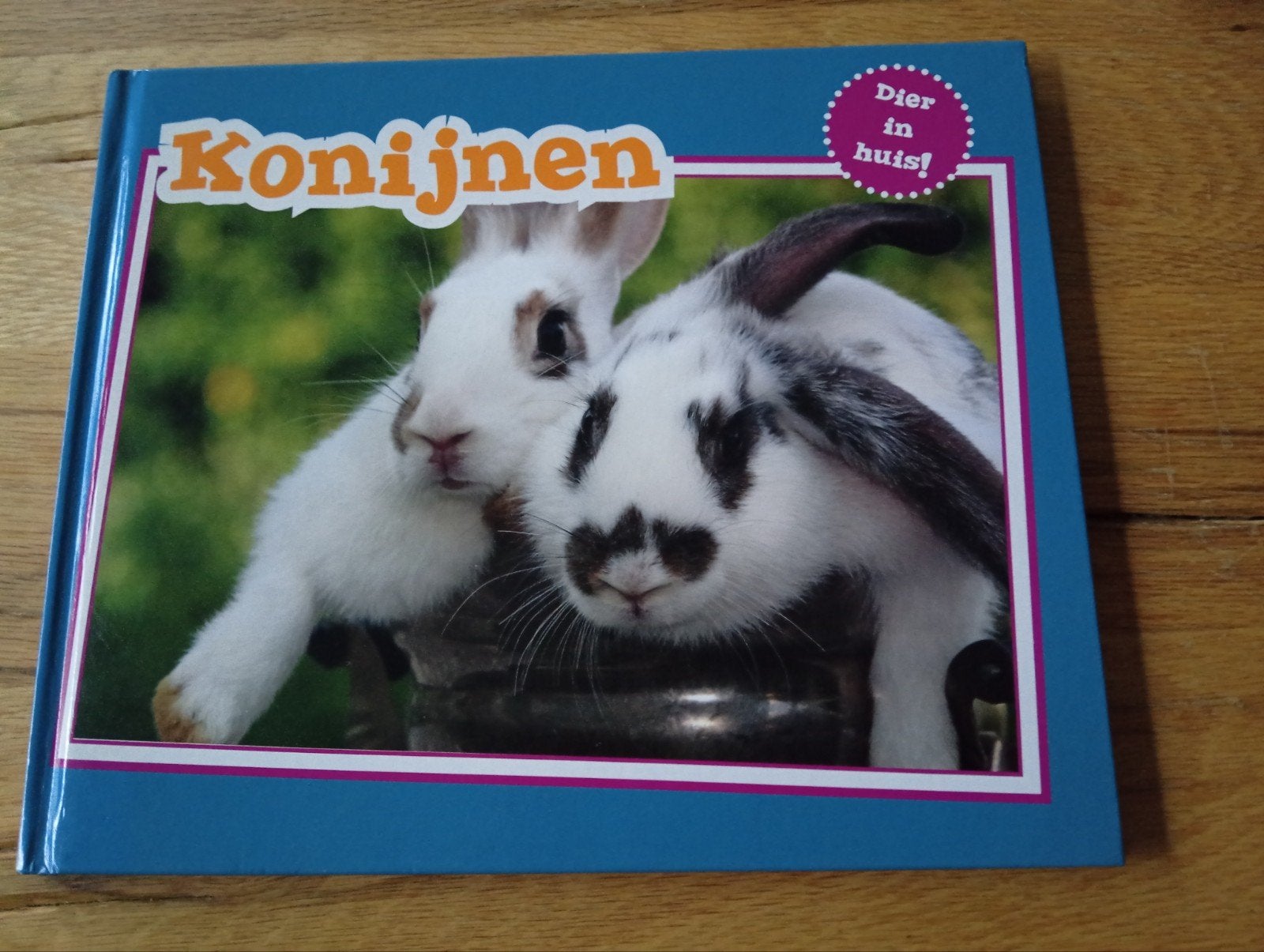 Konijnen - Dier in huis! (Boek), Ophalen of Verzenden, Zo goed als nieuw, Konijnen of Knaagdieren