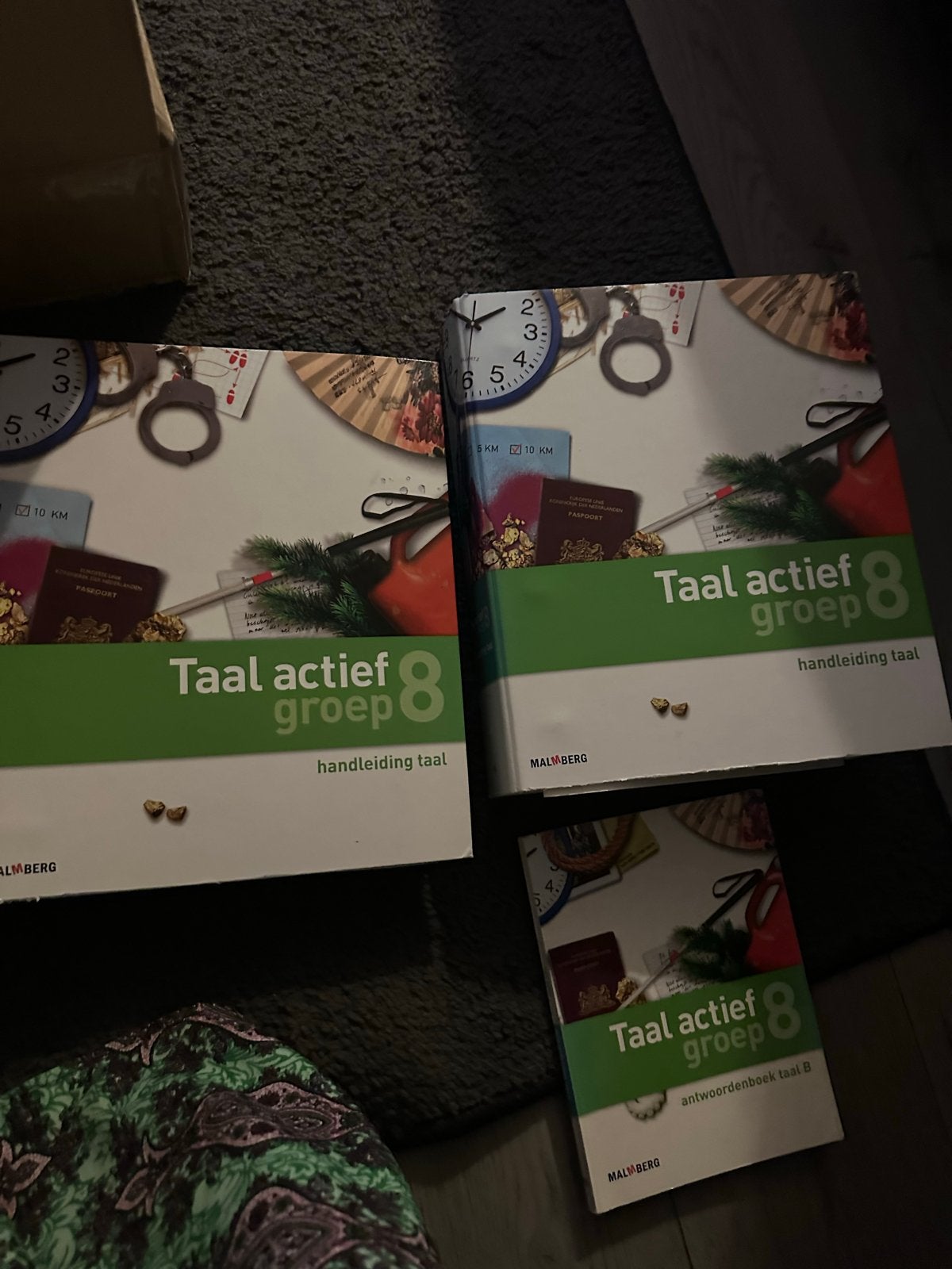 Taal Actief Groep 8: 2 Handleidingen + Antwoordenboek, Boeken, Ophalen of Verzenden, Gelezen, Overige niveaus, Nederlands