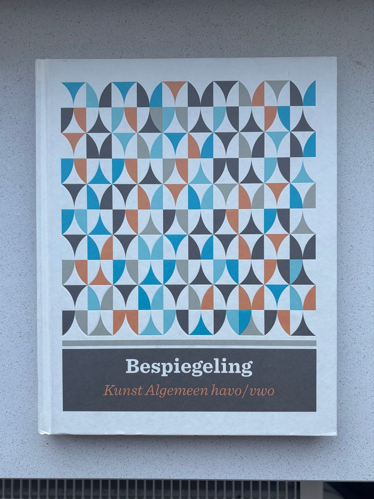 Bespiegeling Kunst Algemeen havo/vwo, Ophalen of Verzenden, Zo goed als nieuw, VWO, Overige vakken
