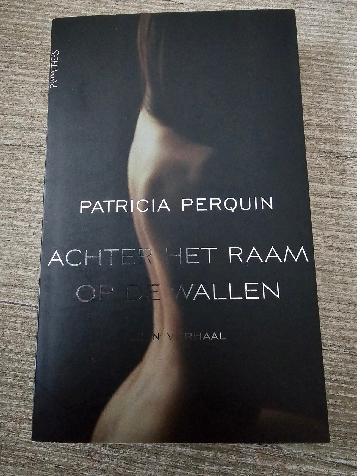 Achter het Raam op de Wallen - Patricia Perquin, Ophalen of Verzenden, Gelezen, Patricia Perquin