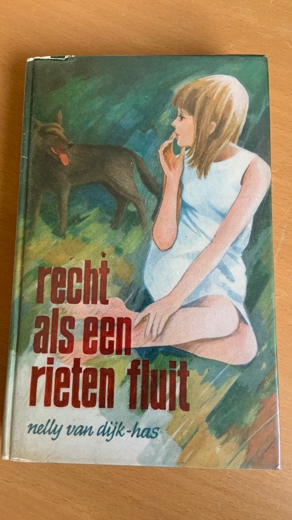 Recht als een rieten fluit - Nelly van Dijk-Has, Boeken, Ophalen of Verzenden, Zo goed als nieuw