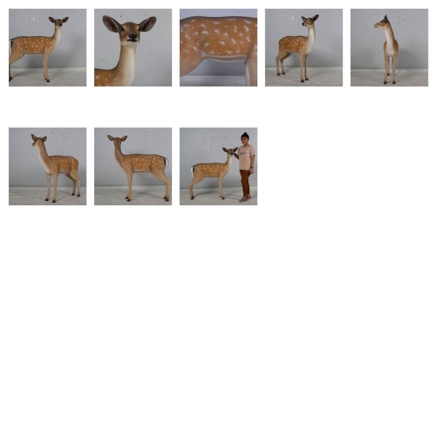 Deer Fallow Doe beeld 117 cm - Hert, Ophalen, Nieuw, Overige soorten, Overige typen
