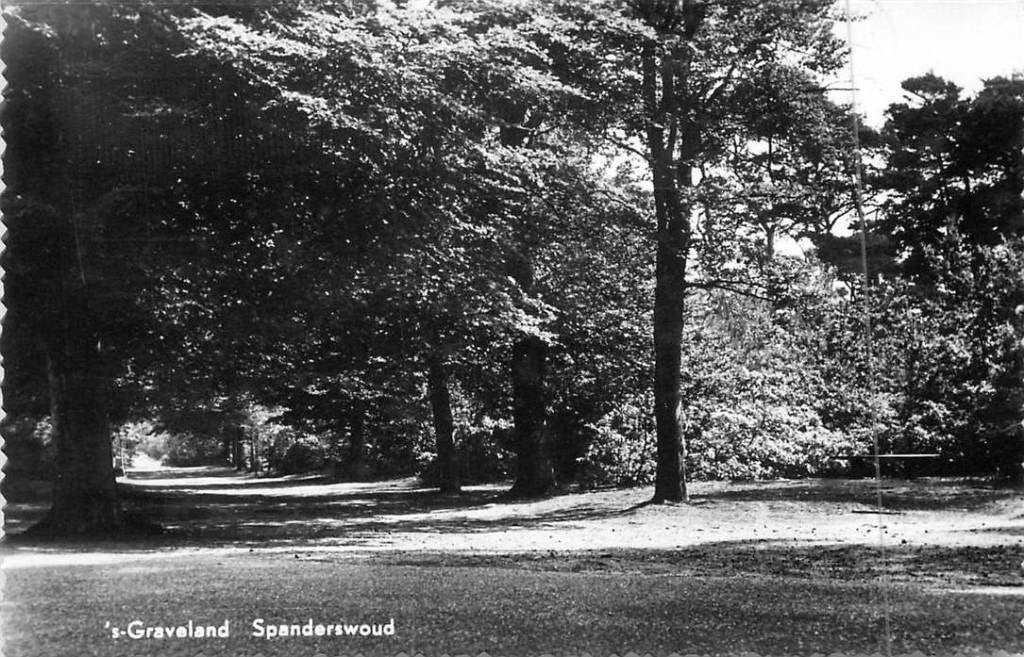 381-062-025 Den Haag Spanderswoud, Verzenden, Voor 1920, Zuid-Holland