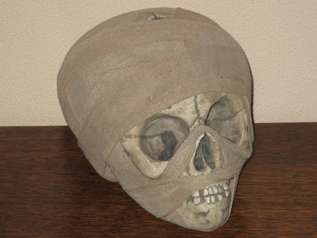 REPLICA Mummie schedel kind, Mummy skull Dreumes UNIEK, Verzamelen, Dierenverzamelingen, Ophalen of Verzenden, Nieuw, Schedel