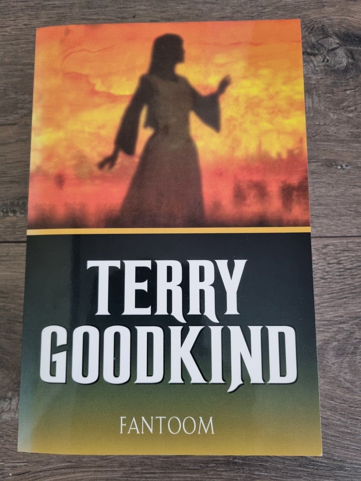 Boek : Fantoom -- Terry Goodkind, Ophalen of Verzenden, Zo goed als nieuw, Terry Goodkind