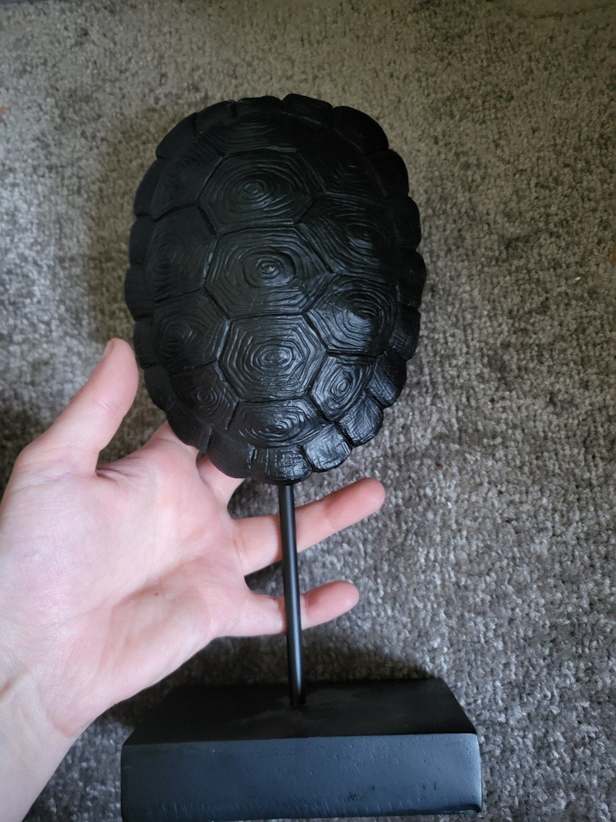 Decoratieve schildpadschild op standaard, Huis en Inrichting, Woonaccessoires | Overige, Zwart, Overige materialen, Nieuw, Ophalen of Verzenden