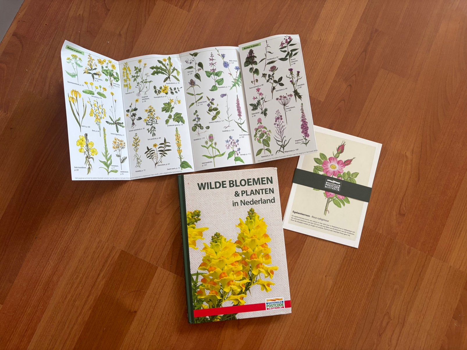 Wilde bloemen en planten in Nederland + veldgids NIEUW, Boeken, Natuur, Ophalen of Verzenden, Nieuw, Bloemen, Planten en Bomen