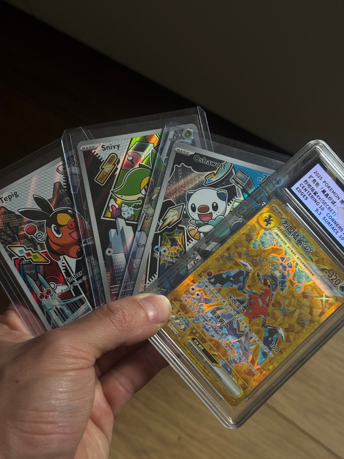 Pokemon kaarten + acryl en tin