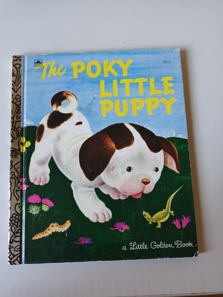 A Little Golden Book//gouden boekje/ Engels, Boeken, Ophalen of Verzenden, Gelezen, Fictie algemeen