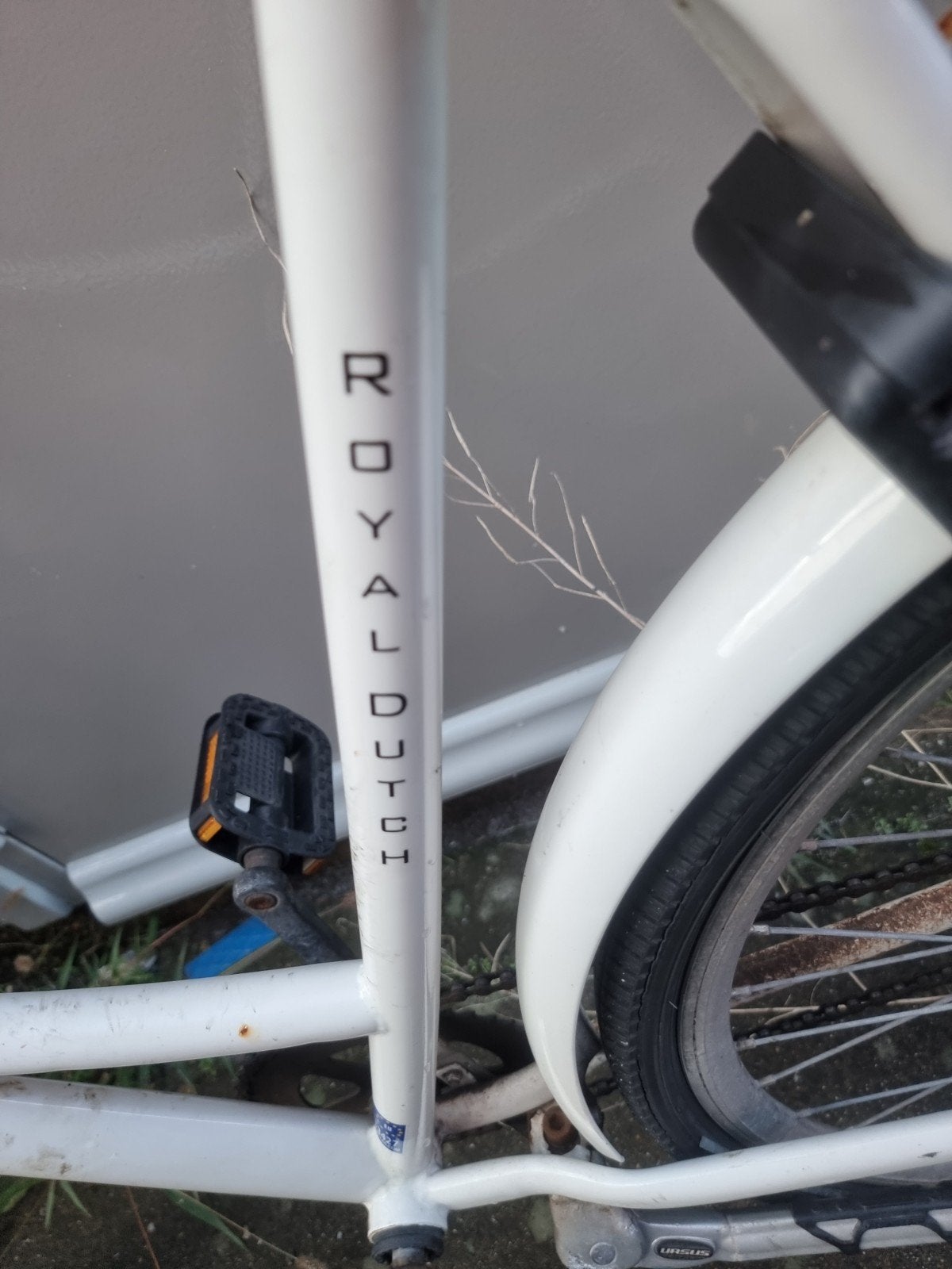 Hollandia Royal Dutch Damesfiets, Terugtraprem, Ophalen, Overige merken, 53 tot 56 cm